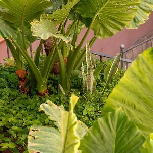  Bed & Breakfast Verdi 254 Spain